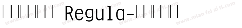 ●大润发粗圆 Regula字体转换